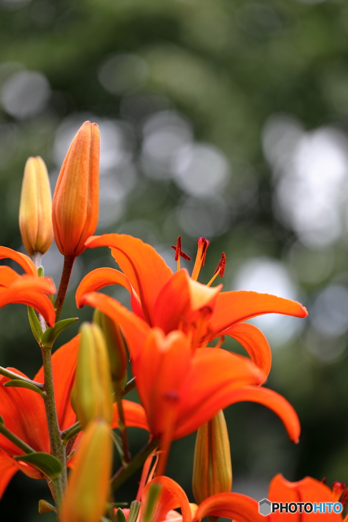 百合が原公園にて
