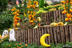 ハロウィン　２