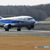 新千歳空港　生コンスポット１１