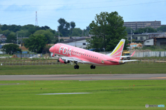札幌　丘珠空港　ＦＤＡ３号機（ピンク）　帰ります！！