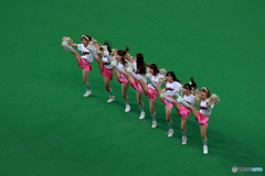札幌ドーム　応援は大事です　No2