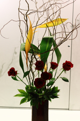 菊４
