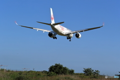 JAL A350 慣熟飛行　その５