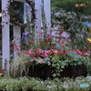 花フェスタ　花壇　その７