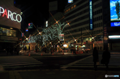 大通りイルミ　PART2