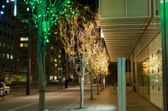 イルミネーション