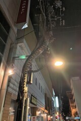 撮りたかった街角風景 In 旭川　S型組立鋼管柱　その３