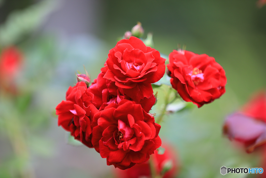 百合が原公園にて　Part3