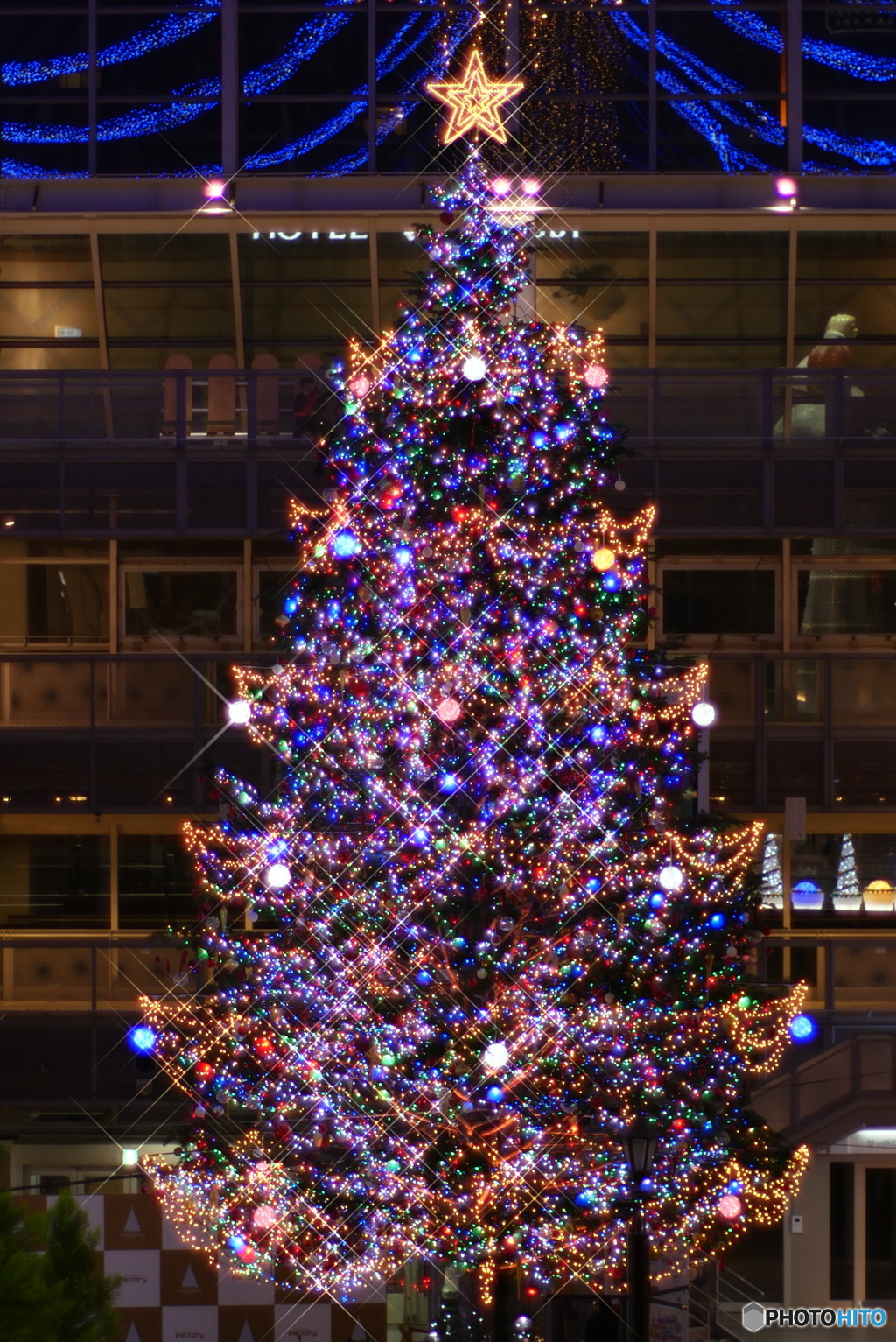 札幌ファクトリー　クリスマスツリー
