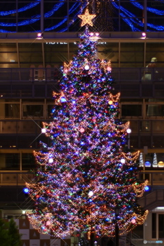札幌ファクトリー　クリスマスツリー