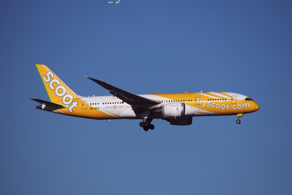 千歳基地　旧ターミナル跡地　さりげなく2機を