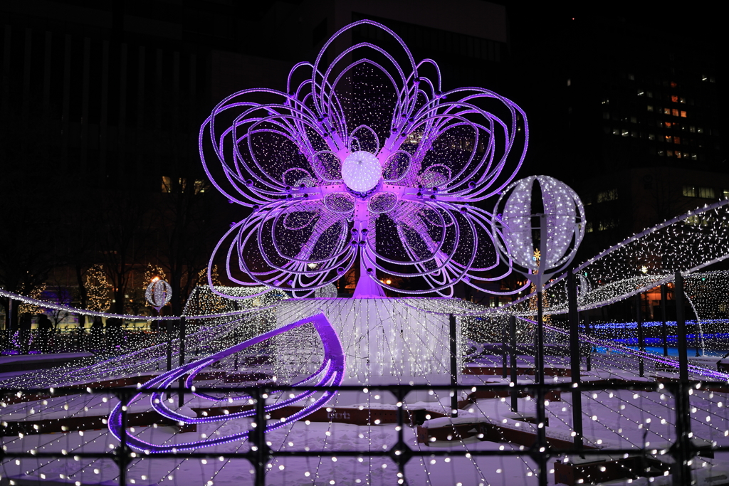 ホワイトイルミネーション　撮り比べしてみた。　Part1