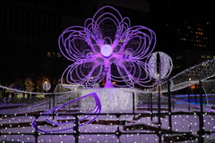 ホワイトイルミネーション 撮り比べしてみた。 Part1