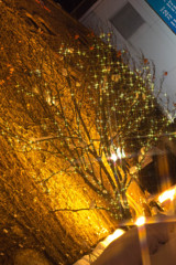 イルミネーション