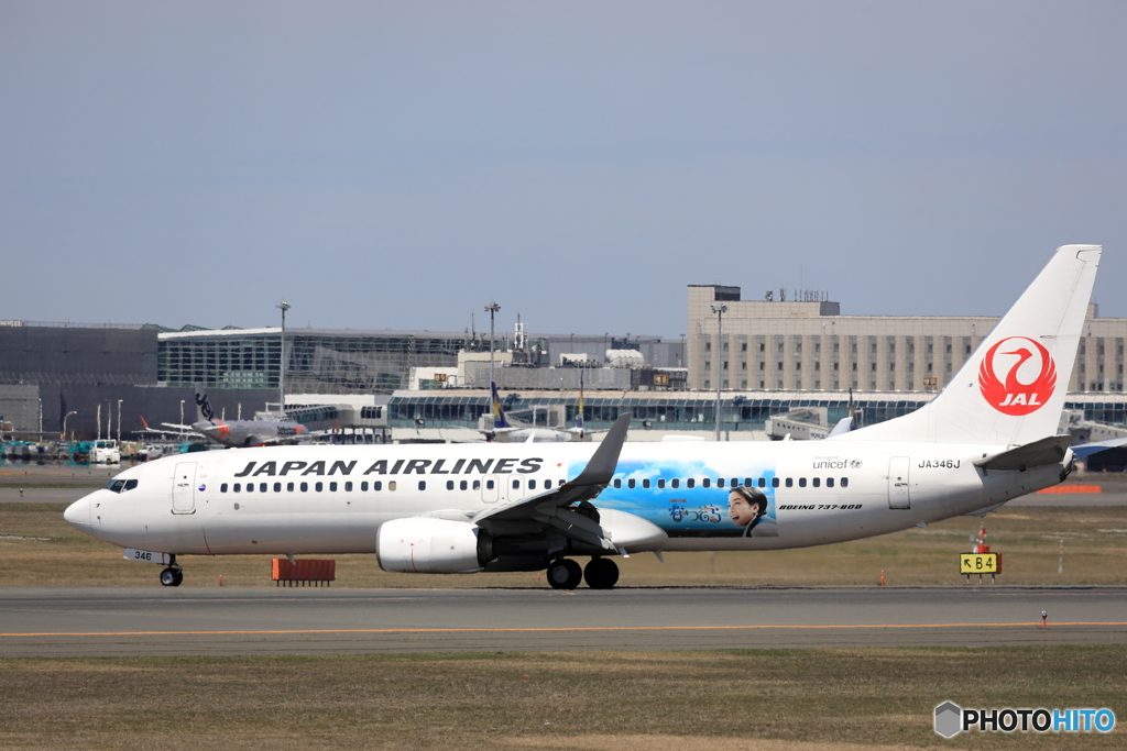 夏空から来道　737-800