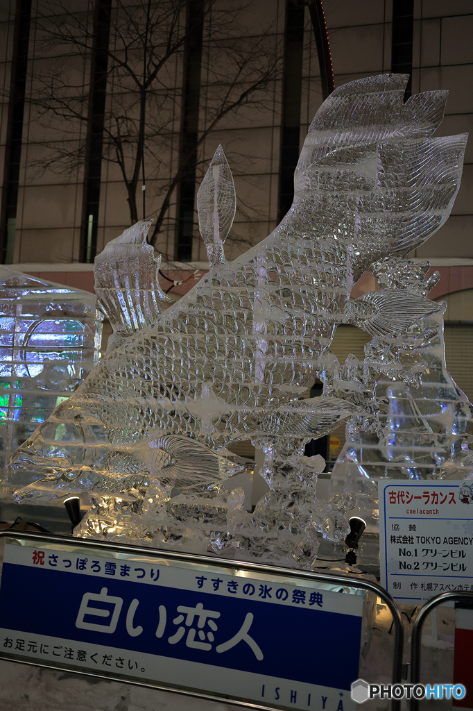 第67回　札幌雪まつり　すすきの会場　No4