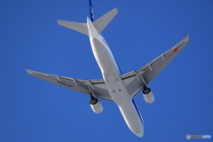 雪レフを求めて　新千歳空港　L19エンド　その２