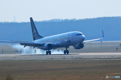 新千歳空港　生コンスポット2