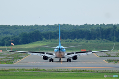 どのお尻が好きかな　小さいの？