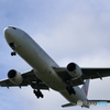新千歳空港　科学技術大学前より　JAL