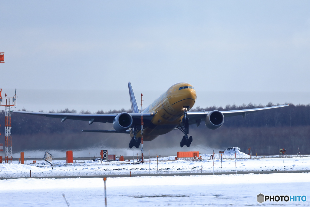 ANA　C-3PO　　新千歳空港　No8