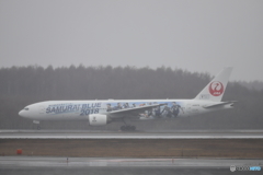 ４月　春まだ遠し千歳空港　No2