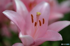 百合が原公園にて