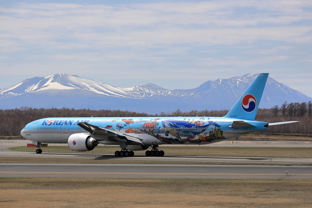 新千歳空港　生コンスポット　KOREANAIR