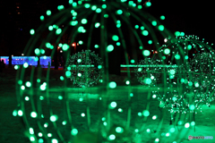 札幌大通公園　ホワイトイルミネーション　No3