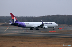 4月だ！！　新千歳空港　Part1