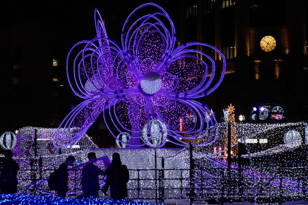 ホワイトイルミネーション　撮り比べしてみた。　Part2