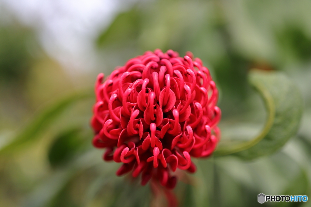 札幌の春近し　Ｎｏ２