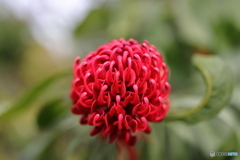 札幌の春近し　Ｎｏ２