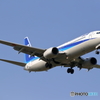 新千歳空港　19Lエンド　ANA