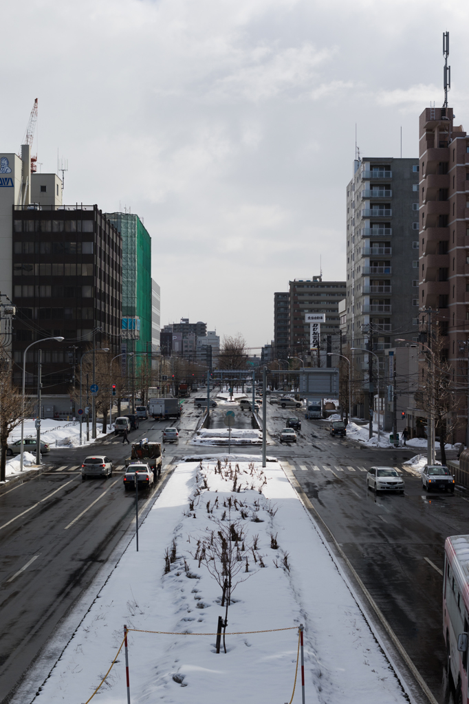 札幌大通り　東方面