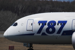 新千歳空港 生コンスポット ANA787