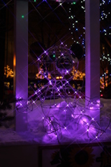 クマのイルミネーション