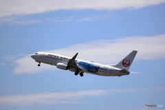 夏空に向かって　737-800