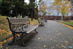 シェイクダウン　No2