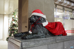 サンタライオン