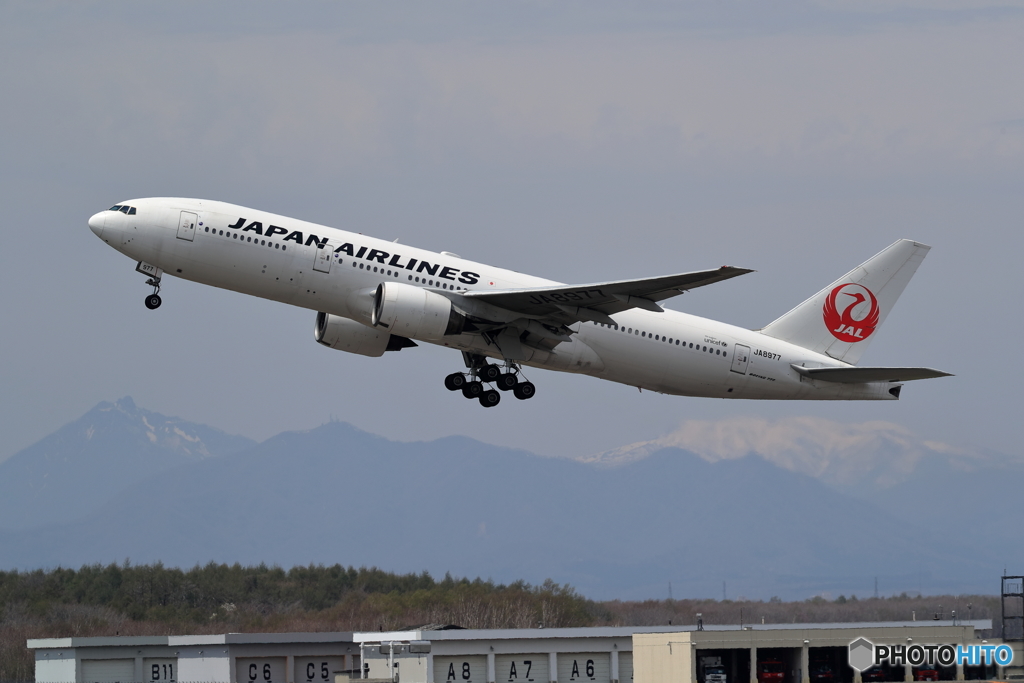 令和元年　撮り始め　新千歳空港　生コン　JAL