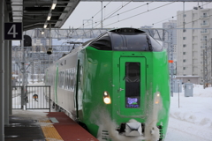 特急ライラック　苗穂駅ホームにて