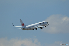 ４月第二弾　新千歳空港（やはり逆光はつらい）　Ｐａｒｔ3