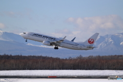 冬本番　新千歳空港　雪レフ最高　No4