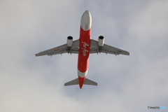 雪レフを求めて　新千歳空港　L19エンド　その５
