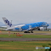 Flying Honu in 新千歳空港　No3