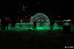 札幌大通公園ホワイトイルミネーション