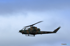 陸上自衛隊 戦闘ヘリ AH-1コブラ No3 陸上自衛隊 戦闘ヘリ AH-1コブラ No3