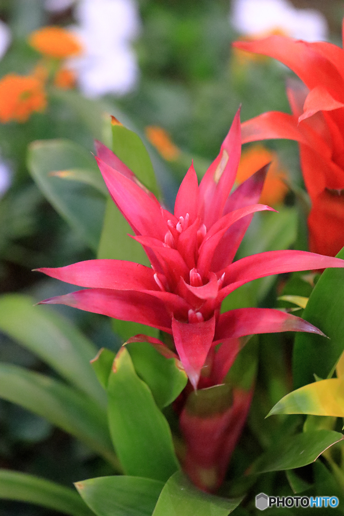 マクロは難しいね！！　Ｎｏ５