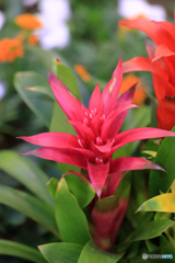 マクロは難しいね！！　Ｎｏ５